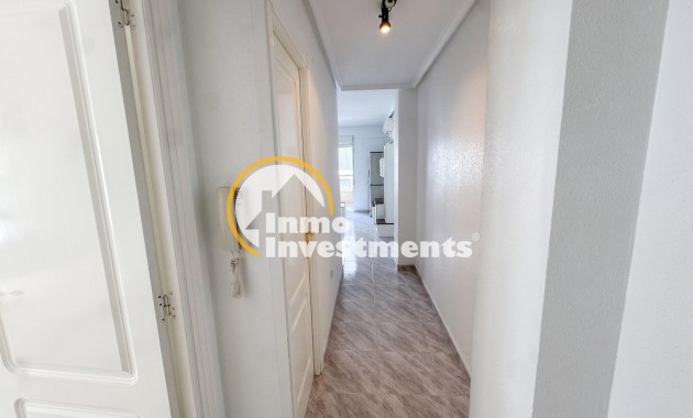 Gebrauchtimmobilien - Apartment - Torrevieja - Estacion de autobuses