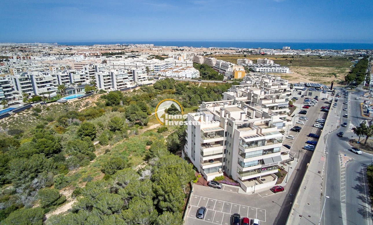 Gebrauchtimmobilien - Apartment - Los Dolses