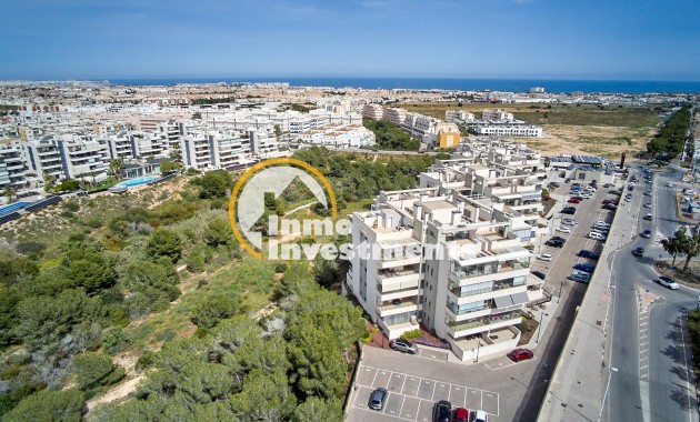 Gebrauchtimmobilien - Apartment - Los Dolses