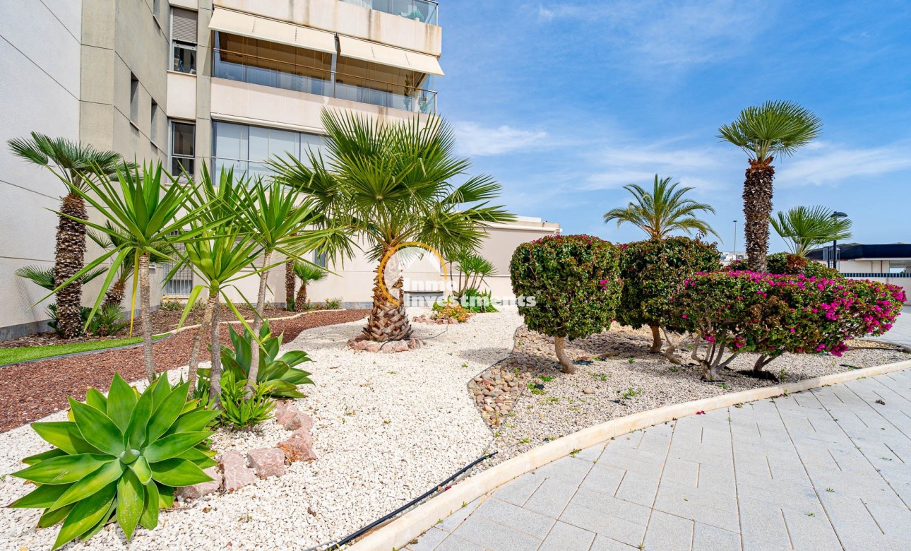 Gebrauchtimmobilien - Apartment - Los Dolses