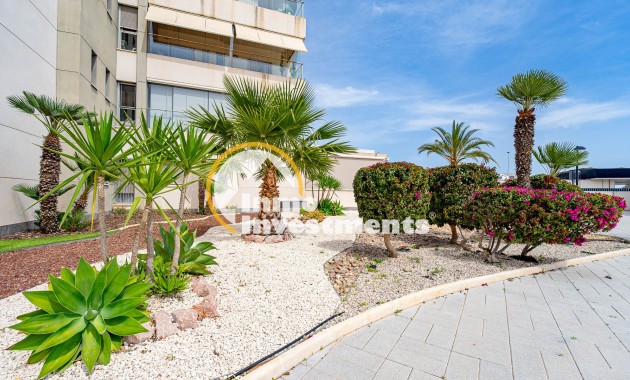 Gebrauchtimmobilien - Apartment - Los Dolses