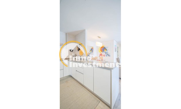 Gebrauchtimmobilien - Apartment - Los Dolses