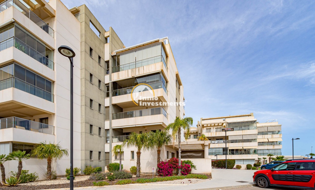 Gebrauchtimmobilien - Apartment - Los Dolses