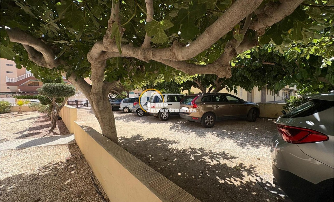 Gebrauchtimmobilien - Apartment - La Mata