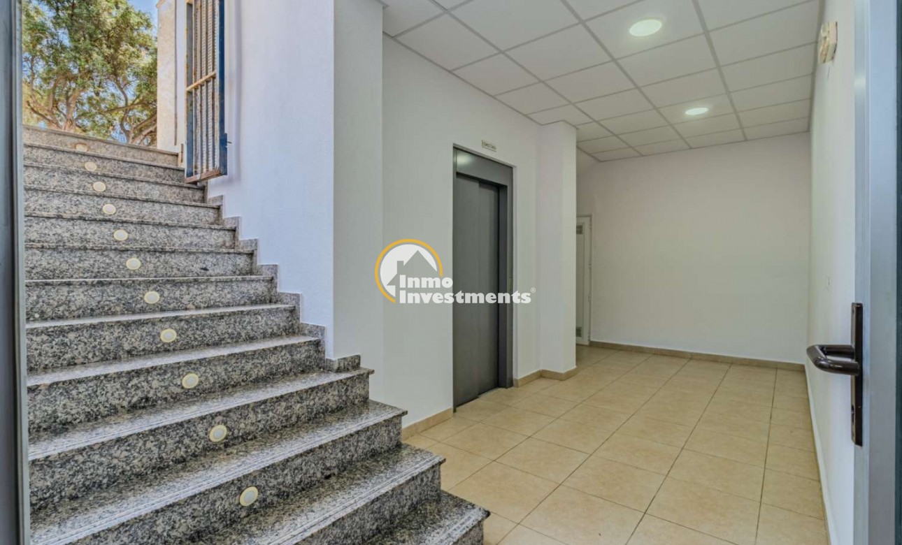 Bestaande bouw - Business local - Torrevieja - Nueva Torrevieja - Aguas Nuevas