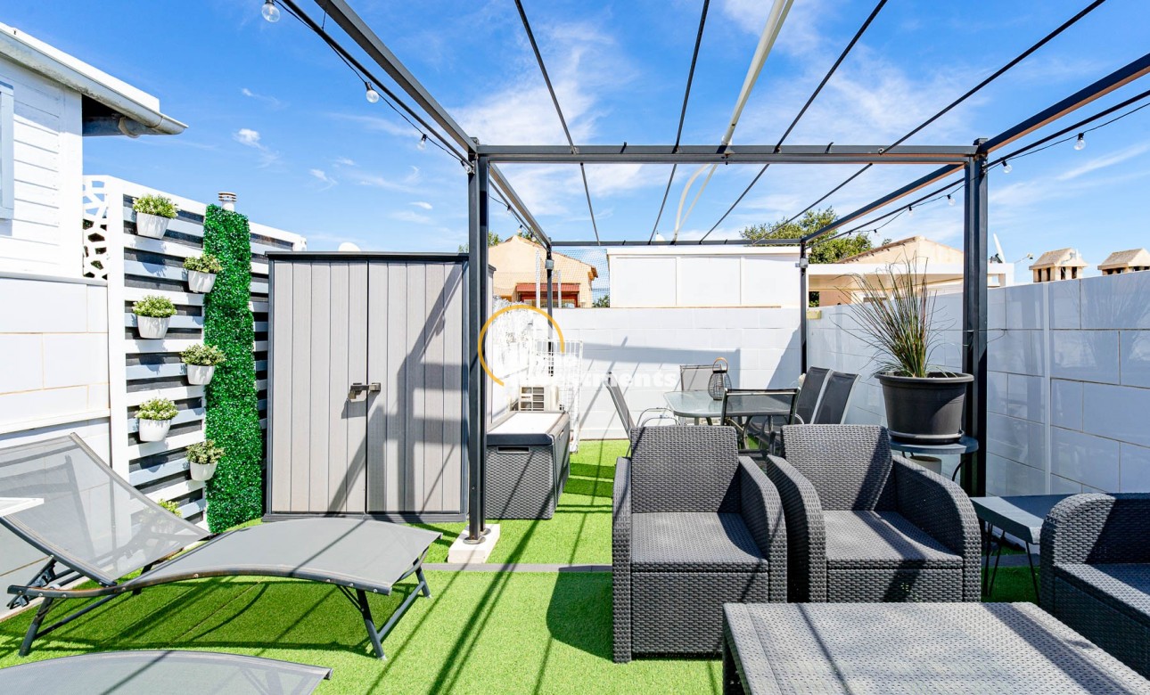 Gebrauchtimmobilien - Penthouse - Punta Prima - Strandseite