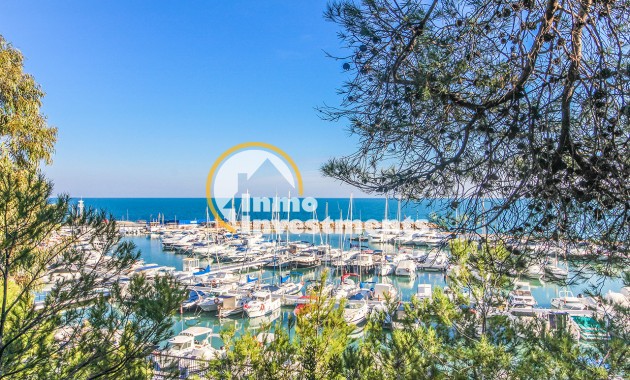 Gebrauchtimmobilien - Apartment - Campoamor - Dehesa de Campoamor