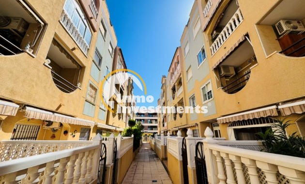  - Appartement - La Mata - Torrevista Playa