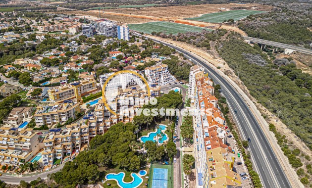 Gebrauchtimmobilien - Apartment - Campoamor - Dehesa de Campoamor