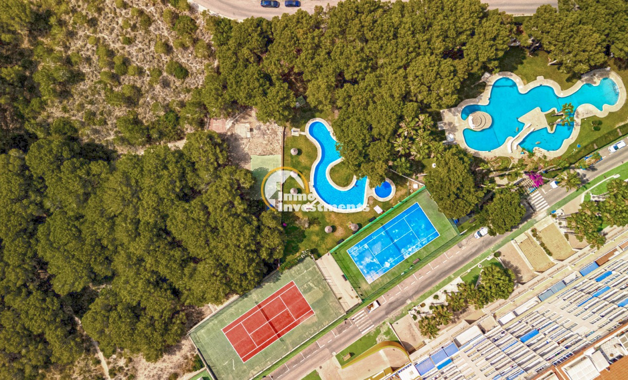 Gebrauchtimmobilien - Apartment - Campoamor - Dehesa de Campoamor