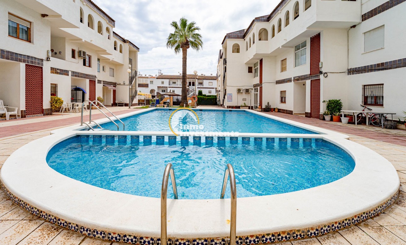 Reventa - Apartamento - Punta Prima