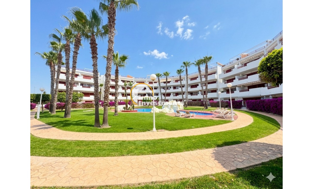 Gebrauchtimmobilien - Apartment - Playa Flamenca