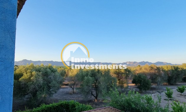 Gebrauchtimmobilien - Villa - Orihuela - Benferri
