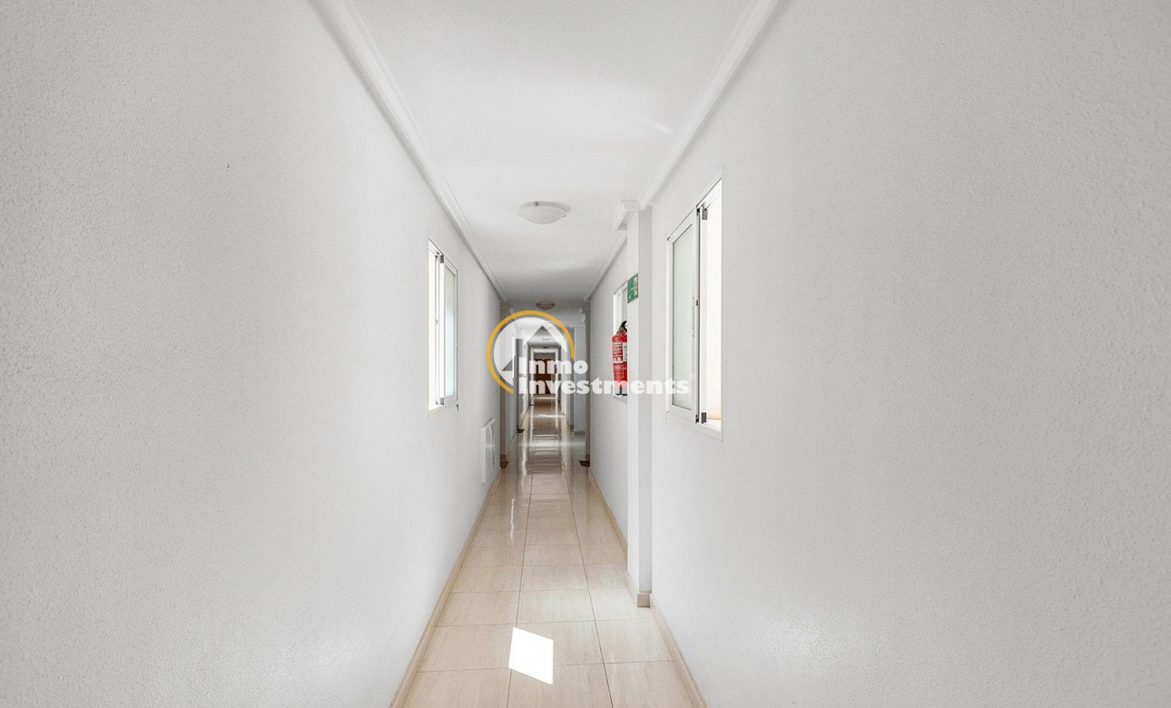 Gebrauchtimmobilien - Penthouse - Torrevieja - Estacion de autobuses