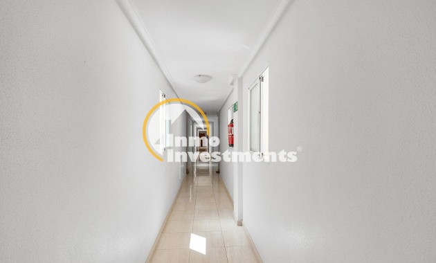 Gebrauchtimmobilien - Penthouse - Torrevieja - Estacion de autobuses