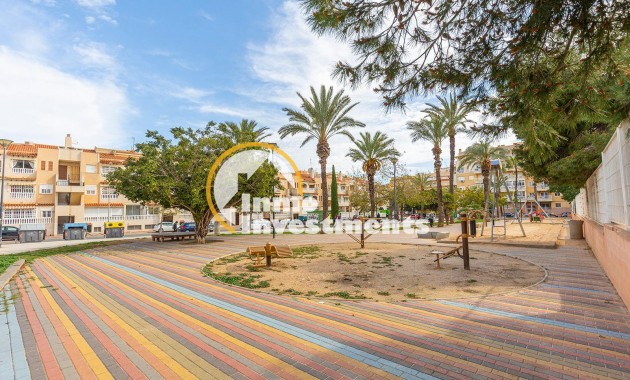 Gebrauchtimmobilien - Penthouse - Torrevieja - Estacion de autobuses