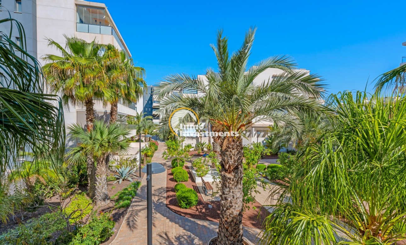 Gebrauchtimmobilien - Apartment - Orihuela Costa - Los Dolses