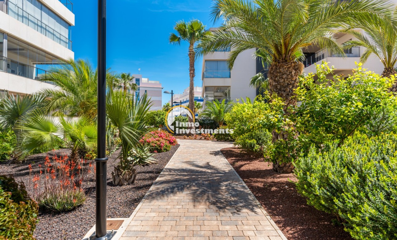 Gebrauchtimmobilien - Apartment - Orihuela Costa - Los Dolses