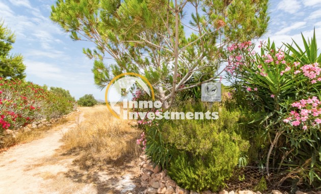Resale - Penthouse - Torrevieja - San Luis