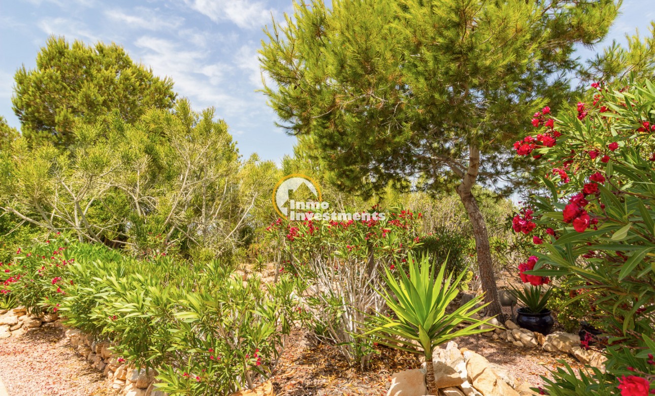 Resale - Penthouse - Torrevieja - San Luis