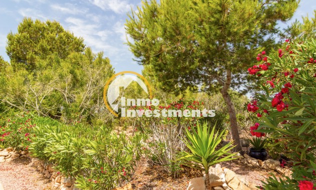 Resale - Penthouse - Torrevieja - San Luis