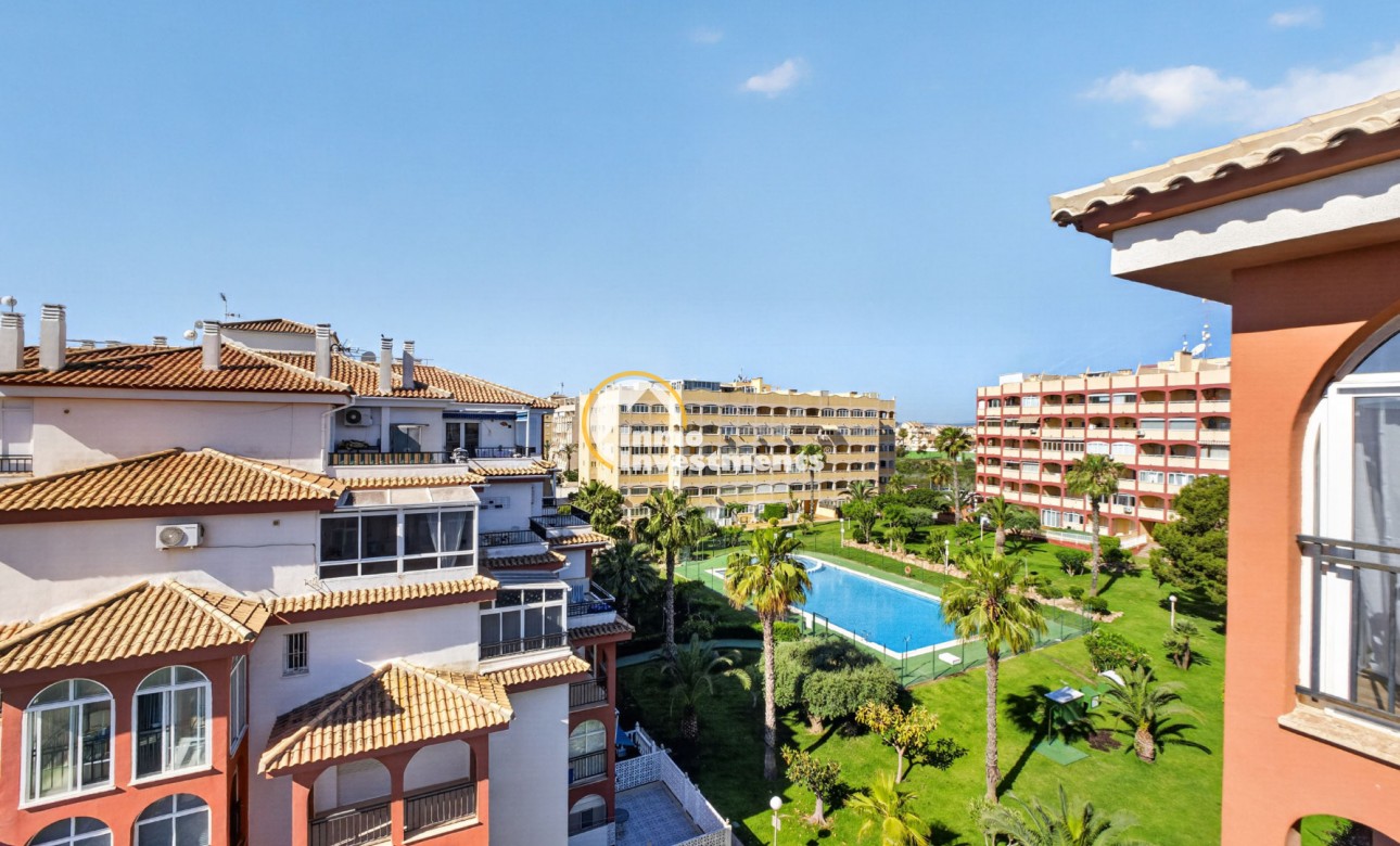 Gebrauchtimmobilien - Apartment Penthouse - Torrevieja - Aguas Nuevas