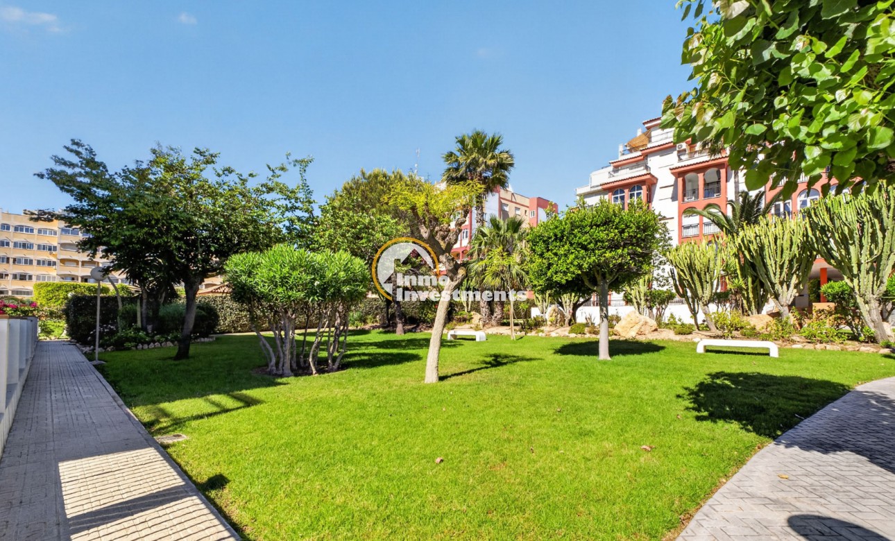 Gebrauchtimmobilien - Apartment Penthouse - Torrevieja - Aguas Nuevas