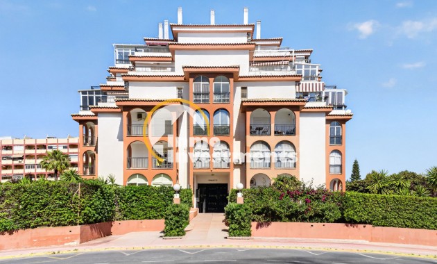 Gebrauchtimmobilien - Apartment Penthouse - Torrevieja - Aguas Nuevas