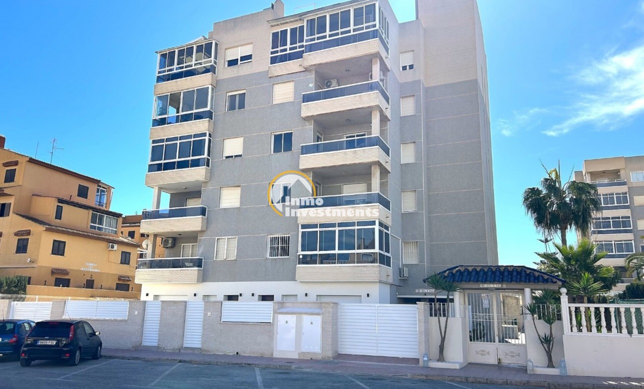 Obra nueva - ground-floor - Torrevieja