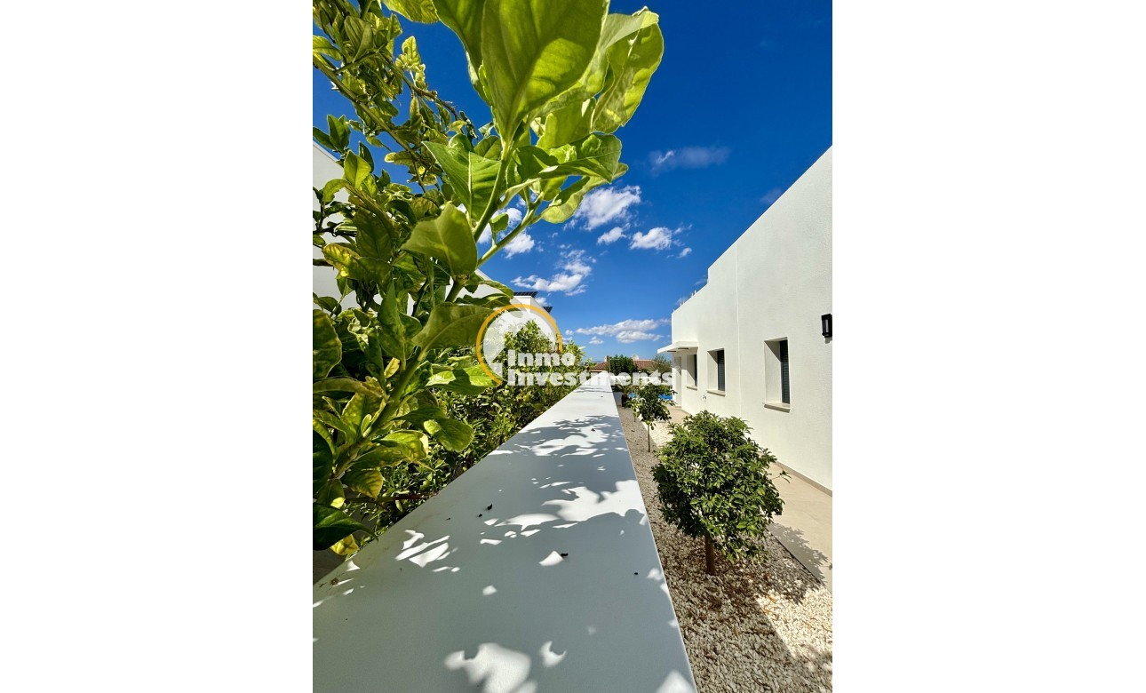 Obra nueva - Chalet independiente - Benijofar