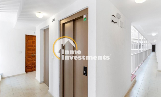 Bestaande bouw - Appartement - La Mata