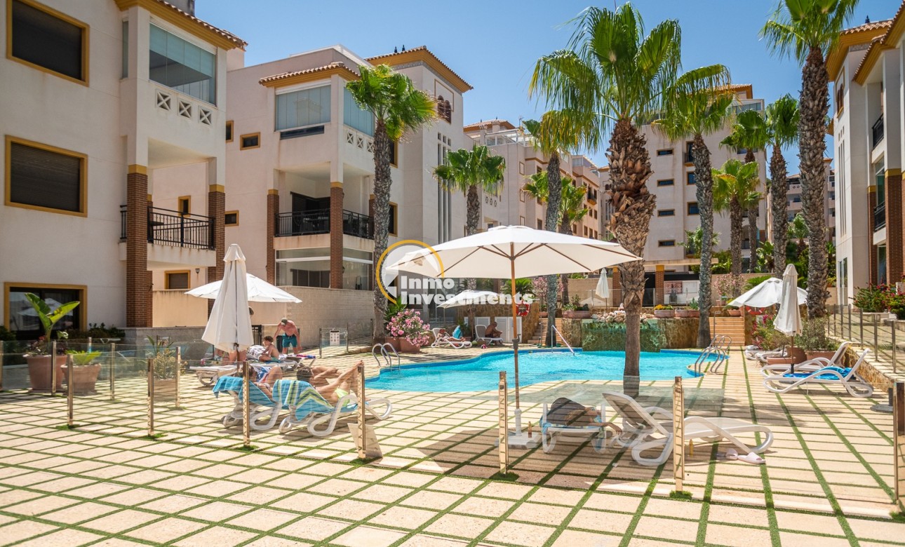 Reventa - Apartamento - Guardamar del Segura