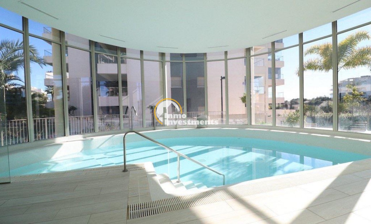 Reventa - Apartamento - Los Dolses - Pimienta