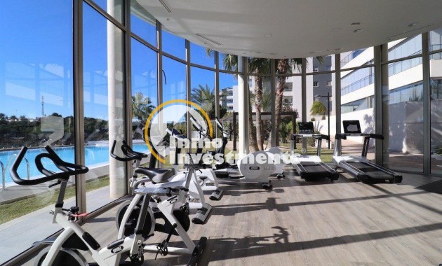 Reventa - Apartamento - Los Dolses - Pimienta