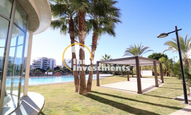 Reventa - Apartamento - Los Dolses - Pimienta