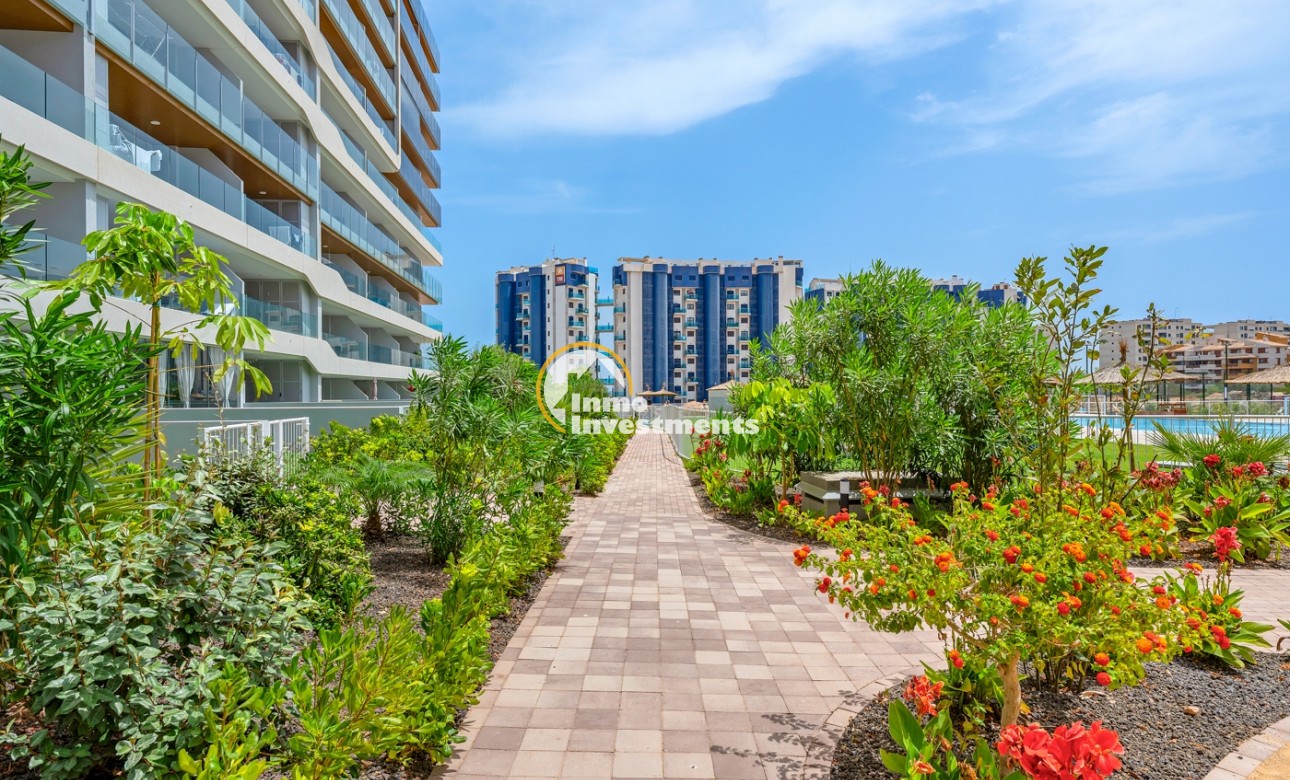 Revente privée - Appartement - Orihuela Costa - Punta Prima