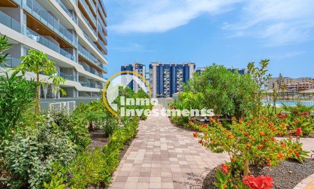Revente privée - Appartement - Orihuela Costa - Punta Prima