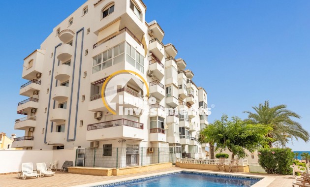 Revente privée - Studio - Torrevieja - Torreblanca