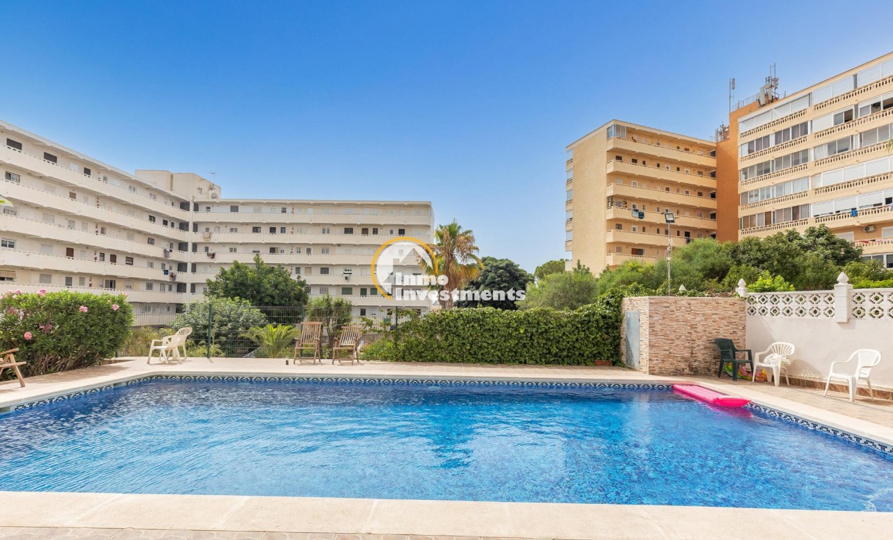 Revente privée - Studio - Torrevieja - Torreblanca