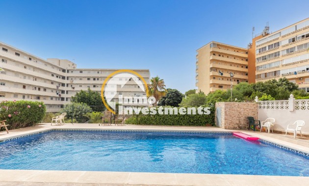 Revente privée - Studio - Torrevieja - Torreblanca