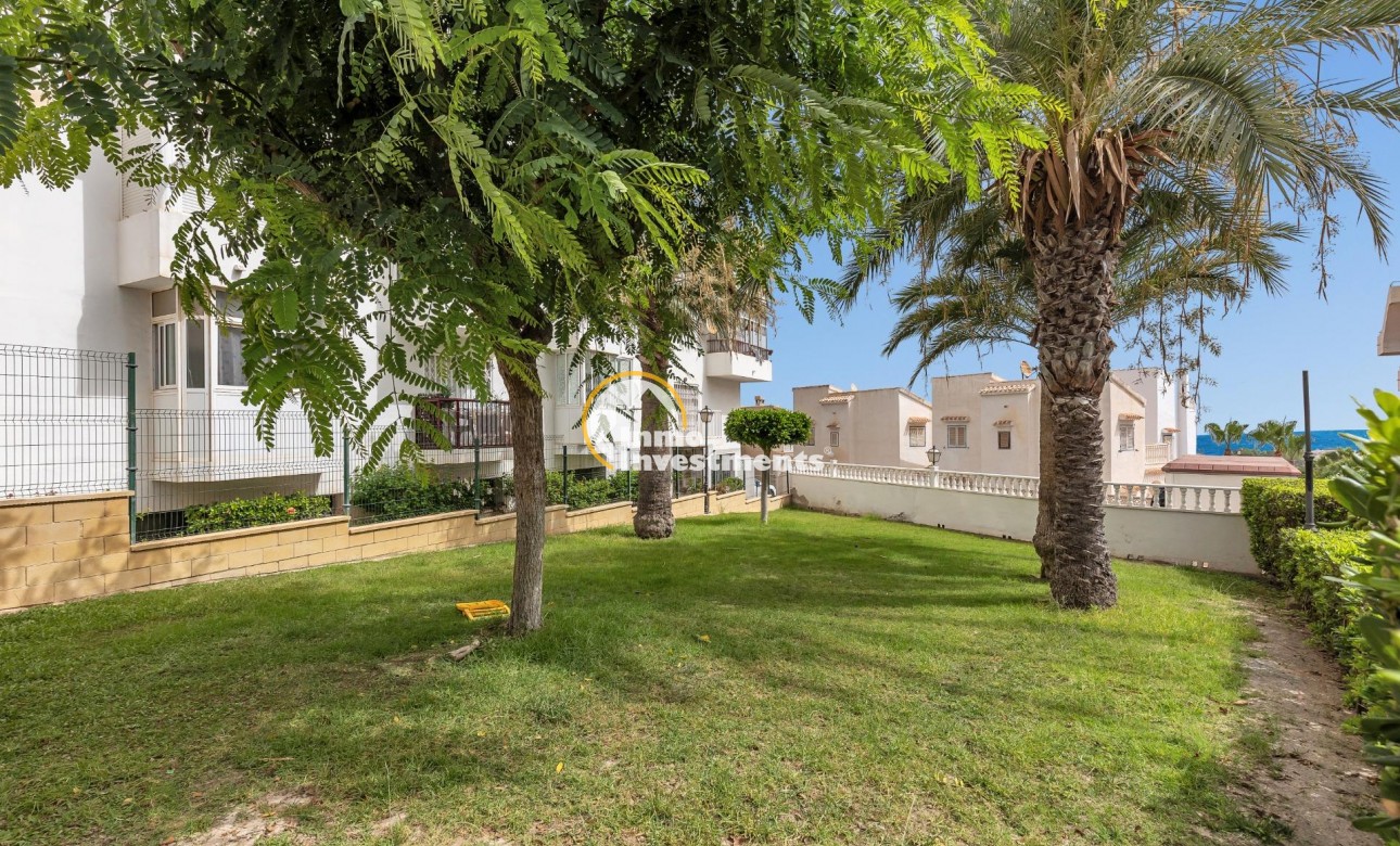 Revente privée - Studio - Torrevieja - Torreblanca