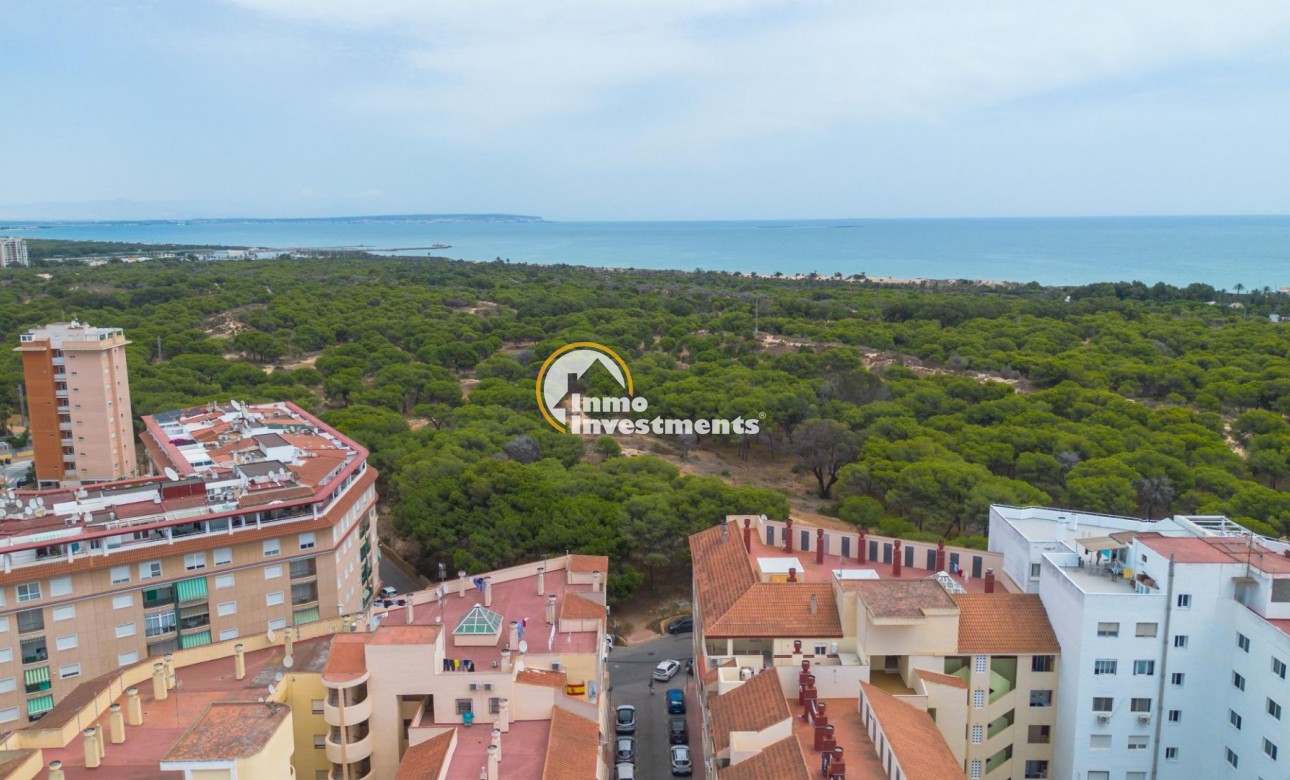 Revente privée - Appartement - Guardamar del Segura - CENTRO