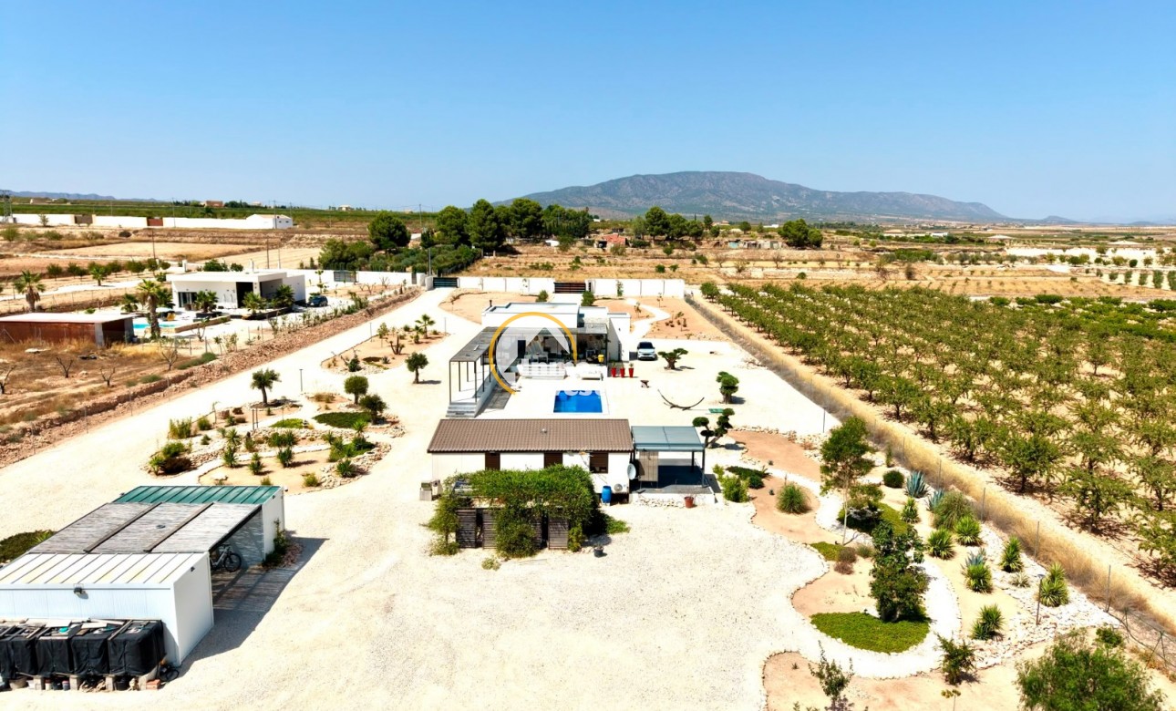 Revente privée - Villa - Pinoso