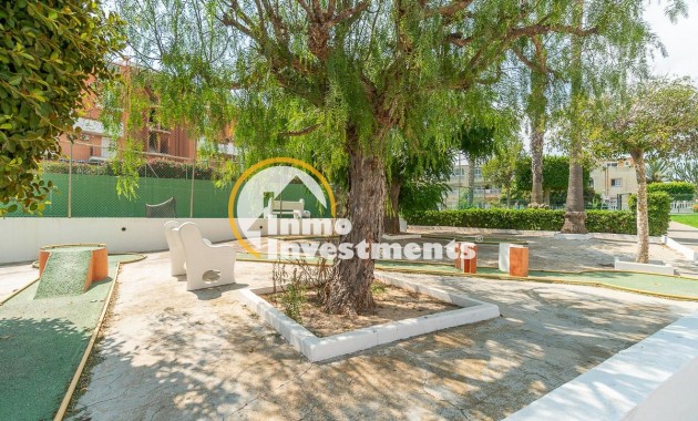Reventa - Apartamento - Torrevieja - Torreblanca