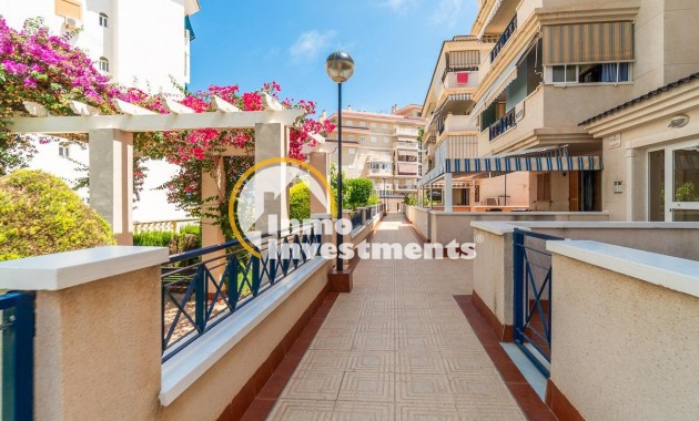 Long term rental - Apartment - Torrevieja - La Mata