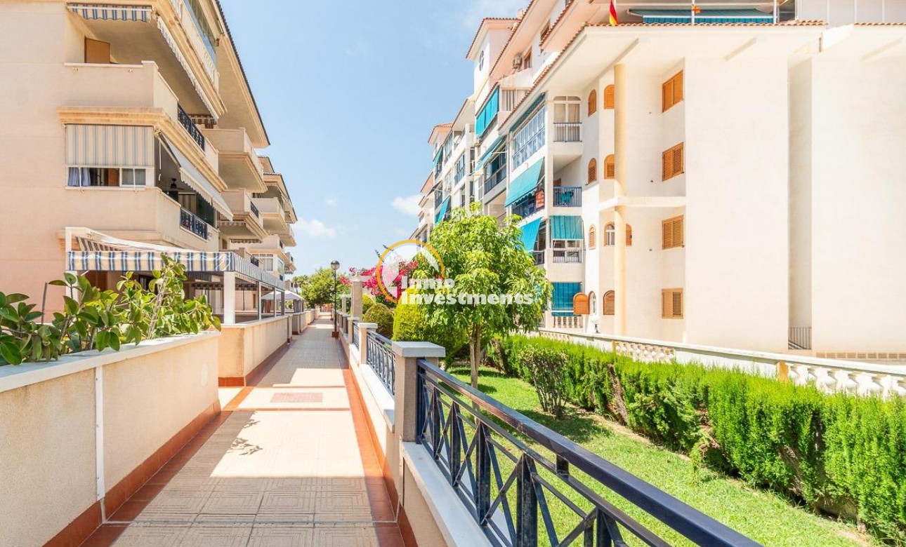 Long term rental - Apartment - Torrevieja - La Mata