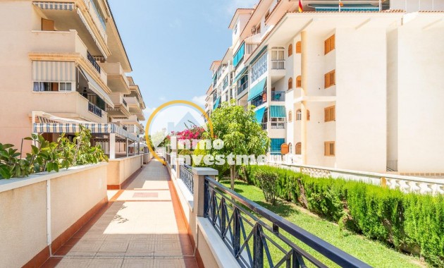Long term rental - Apartment - Torrevieja - La Mata