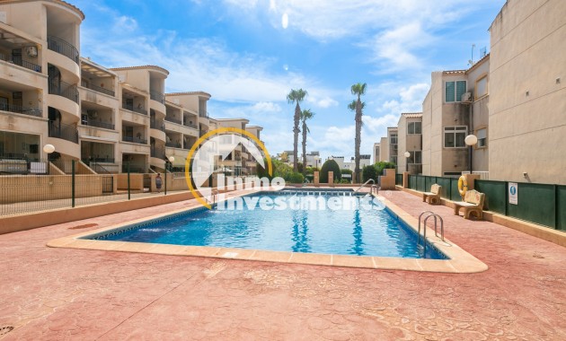 Long term rental - Apartment - Punta Prima - La Ciñuelica