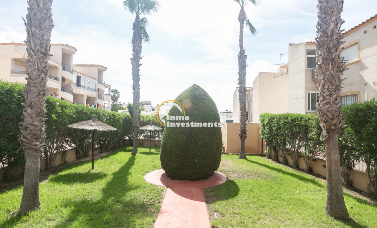 Long term rental - Apartment - Punta Prima - La Ciñuelica