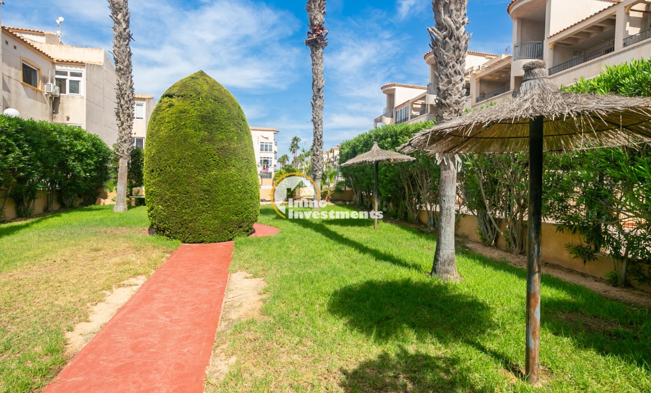 Long term rental - Apartment - Punta Prima - La Ciñuelica